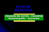 Proyecto Cuyes I