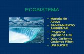 Ecosistema y Biomas Ciclos Biogeoqcos