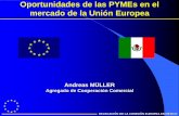 Opórtunidades Pyme en UNión Europea. COmisión Europea en México