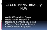 Ciclo Menstrual y Hua