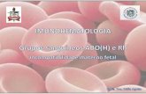 SISTEMA HEMATO - Grupos sanguíneos ABO(H) e Rh.pdf