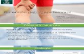Contractura isquitibial (1)