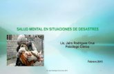 Salud Mental-Desastres 1-2015.pdf