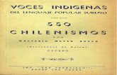 Diccionario de chilenismos sureños, voces indígenas