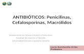 Antibioticos II