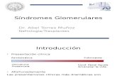 Sx Glomerulares