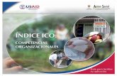 Indice ICO