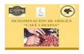 Denominacion de Origen Cafe de Chiapas