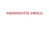 Meningitis Virica