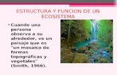 6estructura y Funcion Del Ecosistema