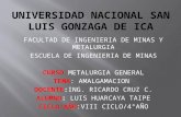 Universidad Nacional San Luis Gonzaga de Ica.pptx Nnnnnnnnnn