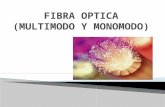 Fibra Optica Multimodo y Monomodo