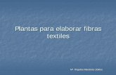 Plantas Textiles