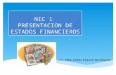 Nic 01 Presentacion Ee_ff