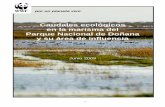 Caudales ecológicos en la marisma del Parque Nacional de Doñana y su área de influencia