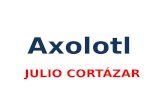 Axolotl. Julio Cortázar