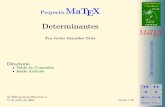 Determinantes Matex