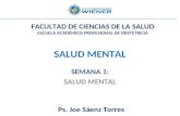 Salud Mental 1