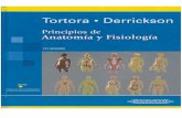 Tortora - Anatomía y Fisiología Humana