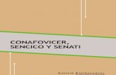 GUIA CONAFOVICER_SENCICO SENATI013-1.pdf