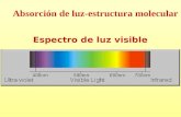 Espectro de luz visible Absorción de luz-estructura molecular.