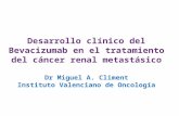 Desarrollo clínico del Bevacizumab en el tratamiento del cáncer renal metastásico Dr Miguel A. Climent Instituto Valenciano de Oncología.