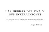 LAS HEBRAS DEL DNA Y SUS INTERACCIONES La importancia de las interacciones débiles Jorge Arévalo.