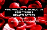 VENIPUNCIÓN Y MANEJO DE ESPECIMENES HEMATOLÓGICOS Práctica 1 Laboratorio de Hematología 2011.