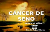 CÁNCER DE SENO SERVICIO MÉDICO UNED2007 Dra. K. Rojas Sáurez.
