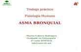 Trabajo práctico Fisiología Humana ASMA BRONQUIAL Marino Cabrera Rodríguez Graduado en Naturopatia 2º curso BIMODAL info@marcris.net 1.