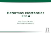 Reformas electorales 2014 Dra. Karolina M. Gilas karolina.gilas@te.gob.mx.