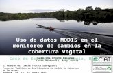Uso de datos MODIS en el monitoreo de cambios en la cobertura vegetal Caso de Estudio: La Amazonía, Brasil II Reunión del Comité Técnico Subregional Proyecto.