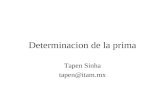 Determinacion de la prima Tapen Sinha tapen@itam.mx.