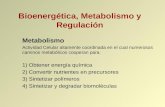 Bioenergética, Metabolismo y Regulación Metabolismo Actividad Celular altamente coordinada en el cual numerosos caminos metabólicos cooperan para: 1) Obtener.