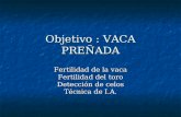 Objetivo : VACA PREÑADA Fertilidad de la vaca Fertilidad del toro Detección de celos Técnica de I.A.