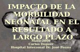 IMPACTO DE LA MORBILIDAD NEONATAL EN EL RESULTADO A LARGO PLAZO Mayo 2009 Carlos Deguer Hospital Interzonal Dr. José Penna.