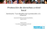 Seminario: “Los desafíos de la protección a la infancia” Asociación Chilena de Municipalidades Agosto 2010 Oriana Zanzi Consultora Programa territorial.
