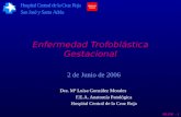MLGM - 1 Enfermedad Trofoblástica Gestacional 2 de Junio de 2006 Dra. Mª Luisa González Morales F.E.A. Anatomía Patológica Hospital Central de la Cruz.