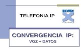 CONVERGENCIA IP: VOZ + DATOS TELEFONIA IP. Introducción a la Telefonía IP Por qué surge la Voz sobre IP? Su nacimiento es impulsado por los COSTES y la.
