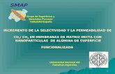 1 Grupo de Superficies y Materiales Porosos- Valladolid-España Universidad Nacional del Comahue-Argentina INCREMENTO DE LA SELECTIVIDAD Y LA PERMEABILIDAD.