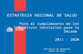 ESTRATEGIA REGIONAL DE SALUD Para el cumplimiento de los Objetivos Sanitarios para la Década 2011 - 2020 Provincia de Chañaral Marzo de 2013.