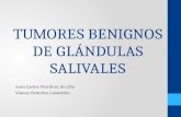 TUMORES BENIGNOS DE GLÁNDULAS SALIVALES Juan Carlos Martínez de Uña Vianey Ordoñez Labastida.
