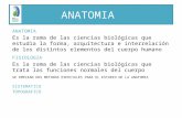 ANATOMIA Es la rama de las ciencias biológicas que estudia la forma, arquitectura e interrelación de los distintos elementos del cuerpo humano FISIOLOGIA.