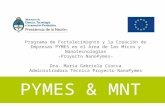 Programa de Fortalecimiento y la Creación de Empresas PYMES en el Área de las Micro y Nanotecnologías –Proyecto NanoPymes- Dra. María Gabriela Ciocca Administradora.