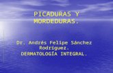 PICADURAS Y MORDEDURAS. Dr. Andrés Felipe Sánchez Rodríguez. DERMATOLOGÍA INTEGRAL.