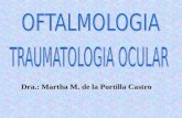 Dra.: Martha M. de la Portilla Castro. SUMARIO 1-Concepto y clasificación de los traumatismos oculares. 2-Importancia del tratamiento de emergencia en.