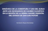 Humberto Reyes-Hernández. La región fisiográfica de la Sierra Madre Oriental ha evidenciado durante las últimas décadas intensos procesos de deforestación.