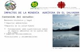 IMPACTOS DE LA MINERÍA AURÍFERA EN EL SALVADOR Unidad Ecológica Salvadoreña  Contenido del estudio: Impactos ambientales Contexto histórico.