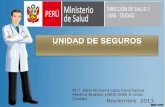 Noviembre 2013 M.C. Abel Richard Lazo Canchanya Medico Auditor USEG DISA V Lima Ciudad.