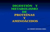DIGESTIÓN Y METABOLISMO DE PROTEÍNAS Y AMINOÁCIDOS Q.F. FREDDY ESPINOZA SORIA.